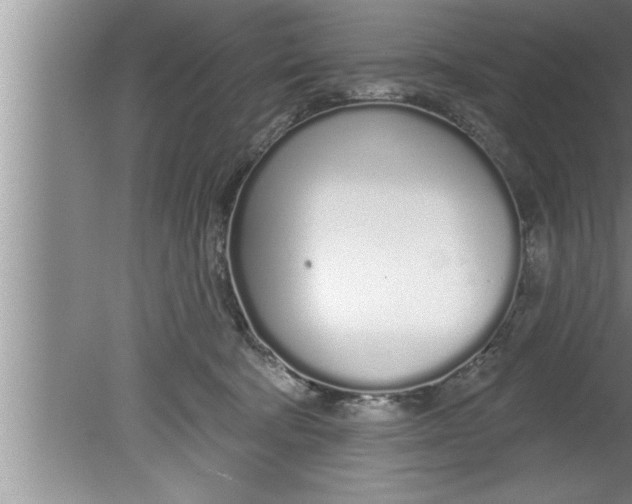 X0000080130322200612302043