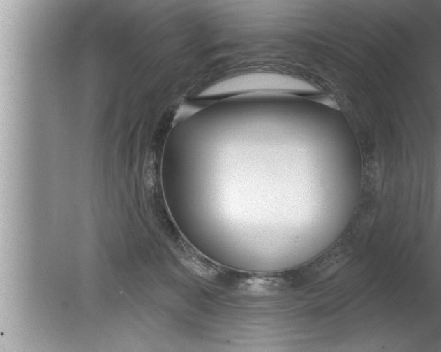 X0000080130323200612302043