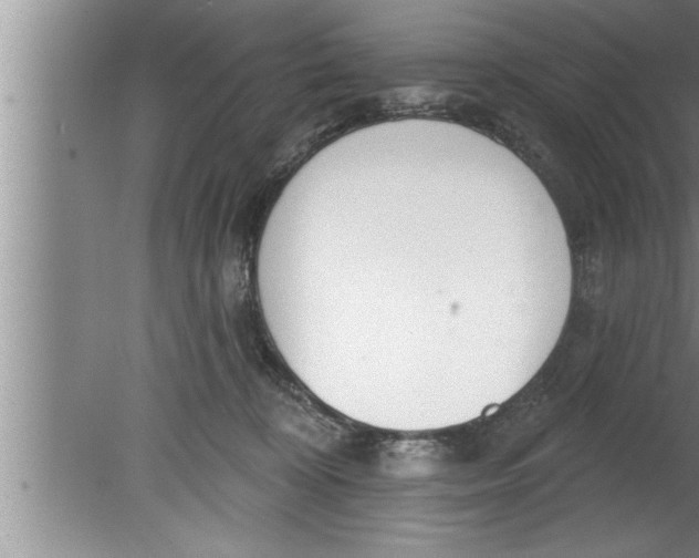 X0000080130324200612302043