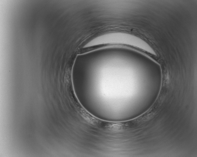 X0000080130325200612302042