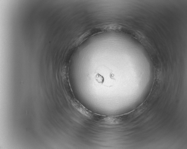 X0000080130326200612302042