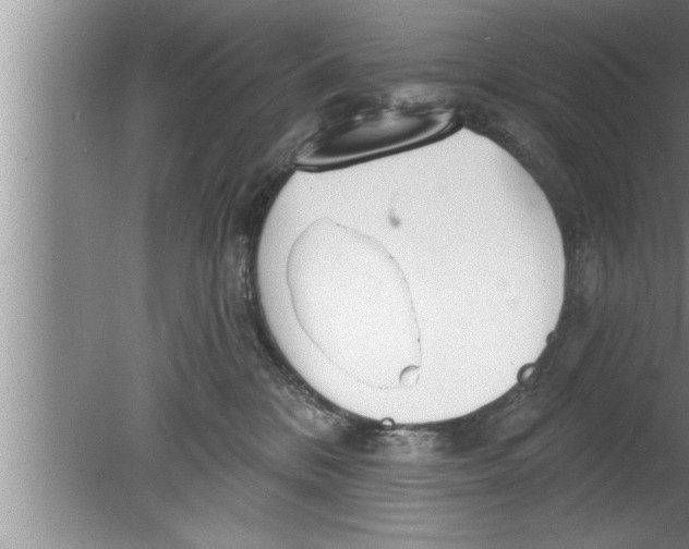 X0000080130328200612302042