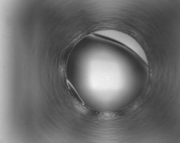 X0000080130329200612302042