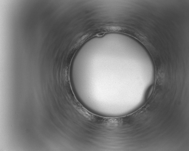 X0000080130330200612302042