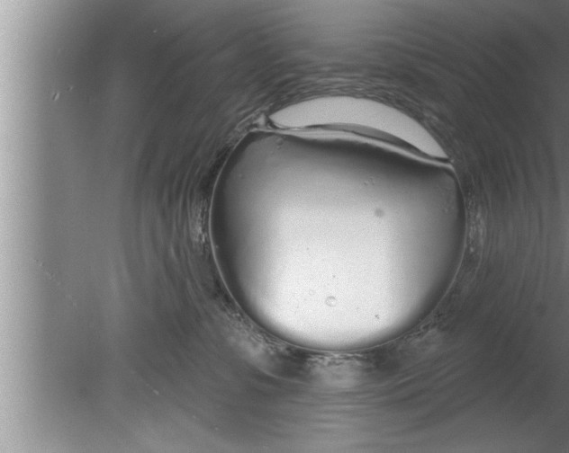 X0000080130331200612302042