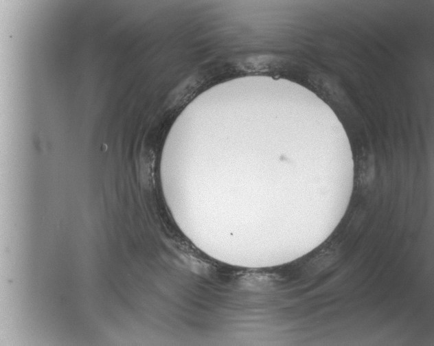 X0000080130332200612302042