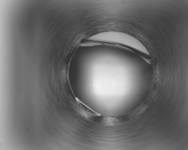 X0000080130333200612302042