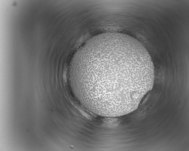 X0000080130334200612302042