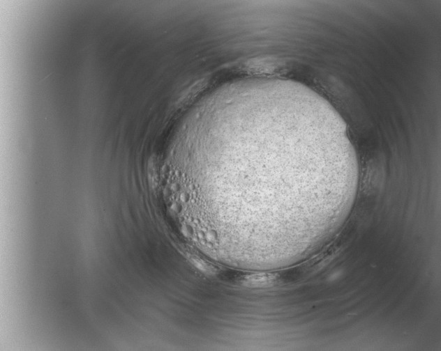 X0000080130335200612302042