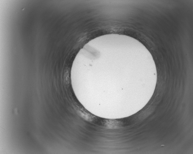 X0000080130336200612302042