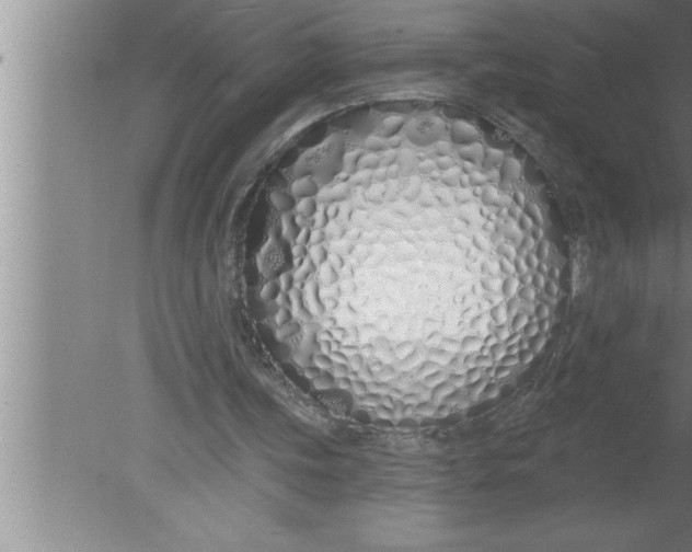 X0000080130339200612302042