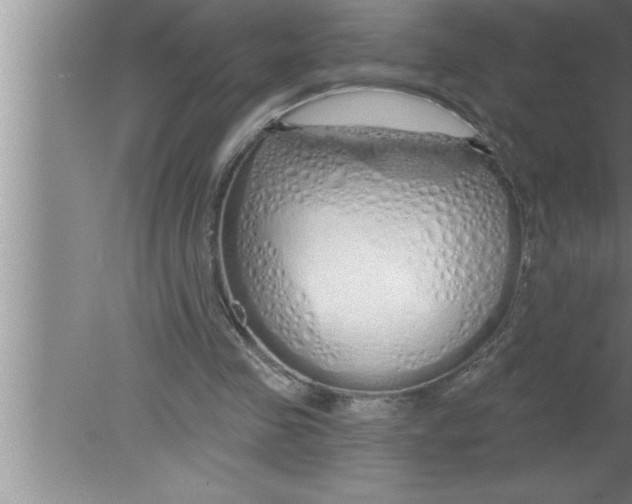 X0000080130341200612302042