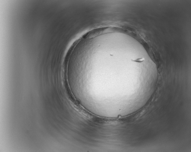 X0000080130342200612302042