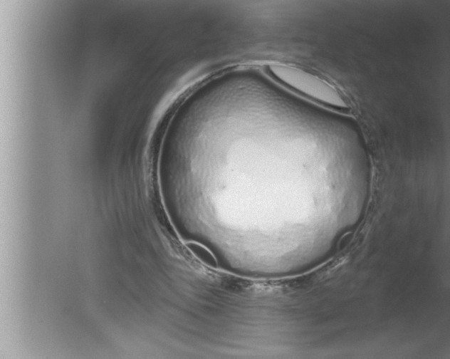 X0000080130343200612302042