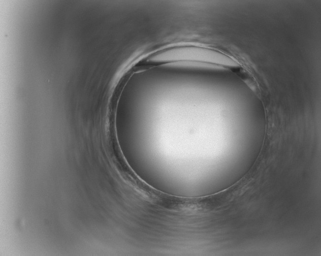 X0000080130344200612302042