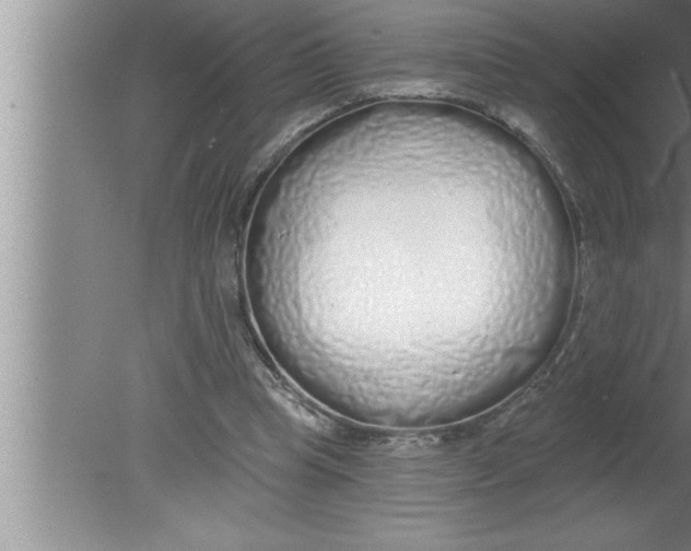 X0000080130345200612302042