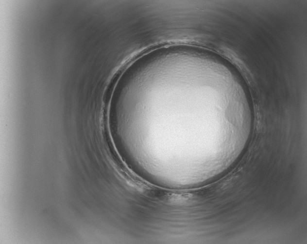 X0000080130346200612302042