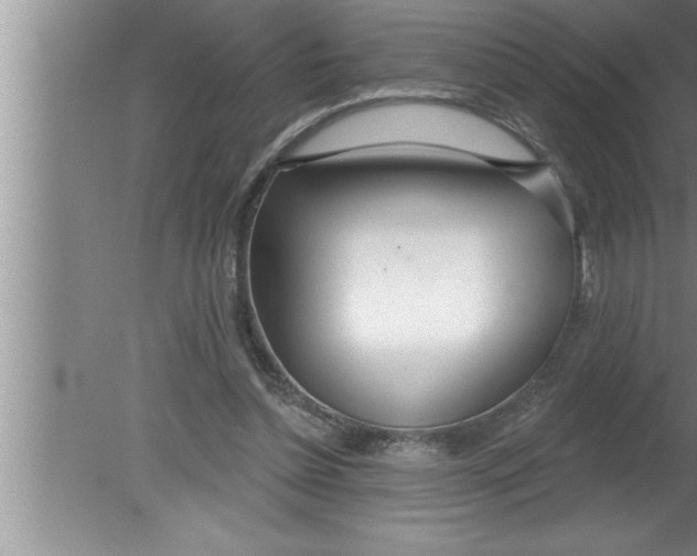 X0000080130348200612302042