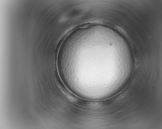 X0000080130349200612302042