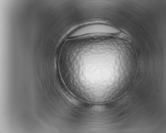 X0000080130350200612302042