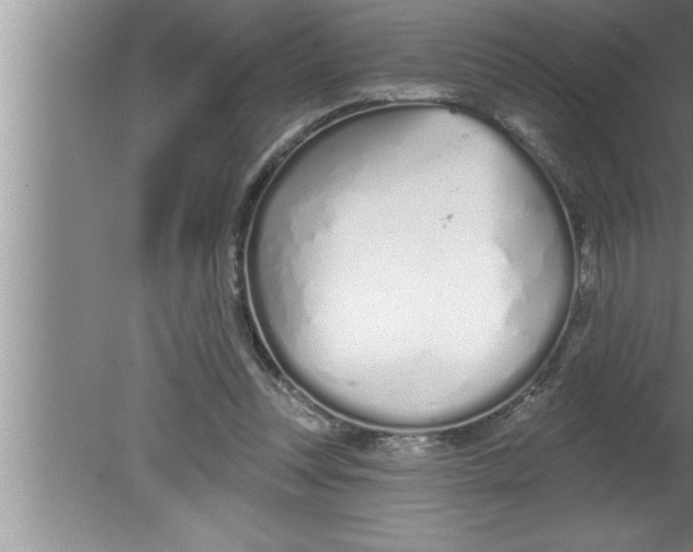 X0000080130351200612302042