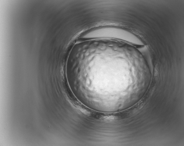 X0000080130352200612302042