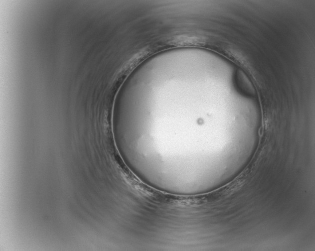 X0000080130353200612302042