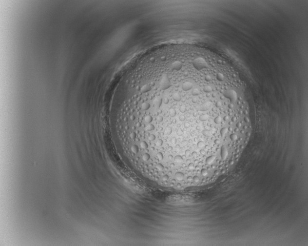 X0000080130354200612302042