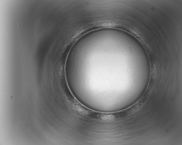 X0000080130355200612302042