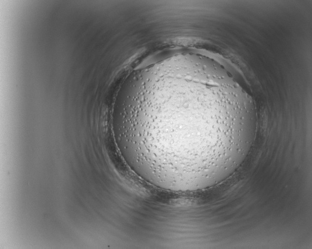 X0000080130356200612302042