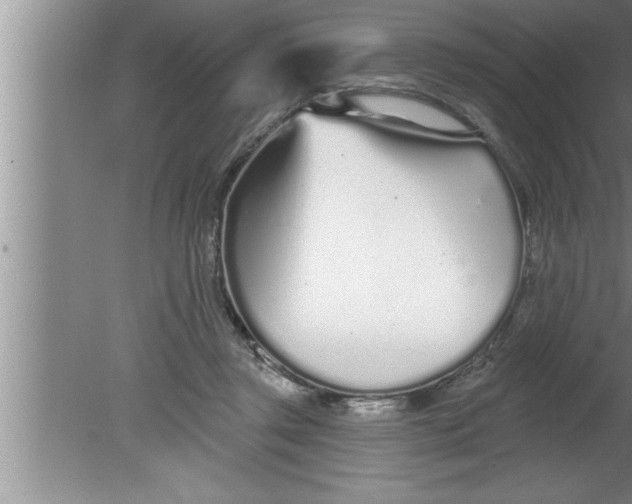 X0000080130357200612302042