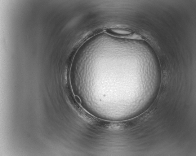 X0000080130358200612302042