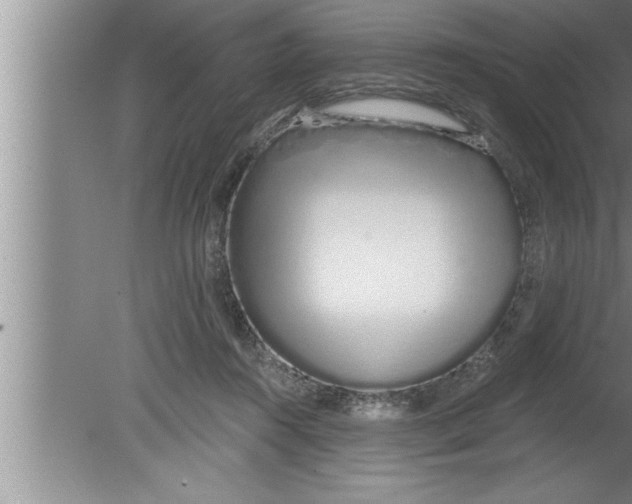 X0000080130360200612302042