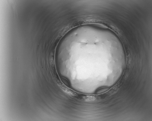 X0000080130361200612302042