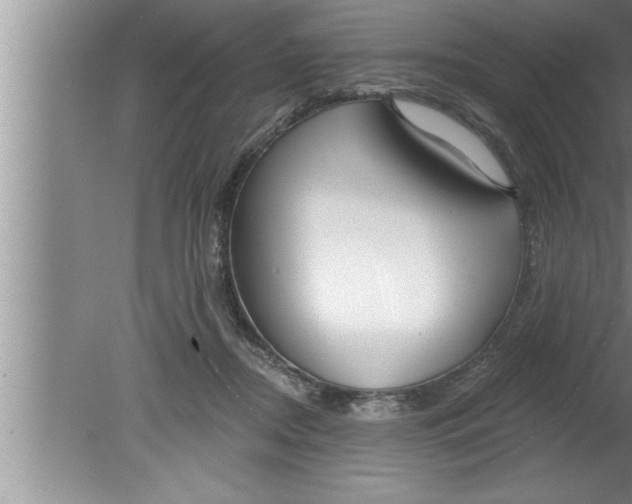 X0000080130362200612302042