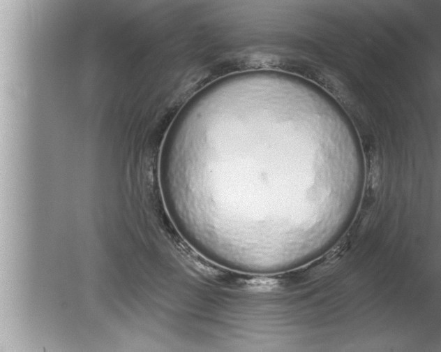 X0000080130363200612302042