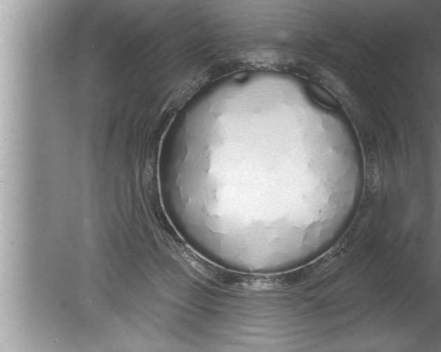 X0000080130365200612302042