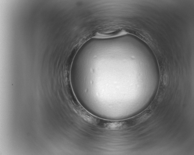 X0000080130366200612302042