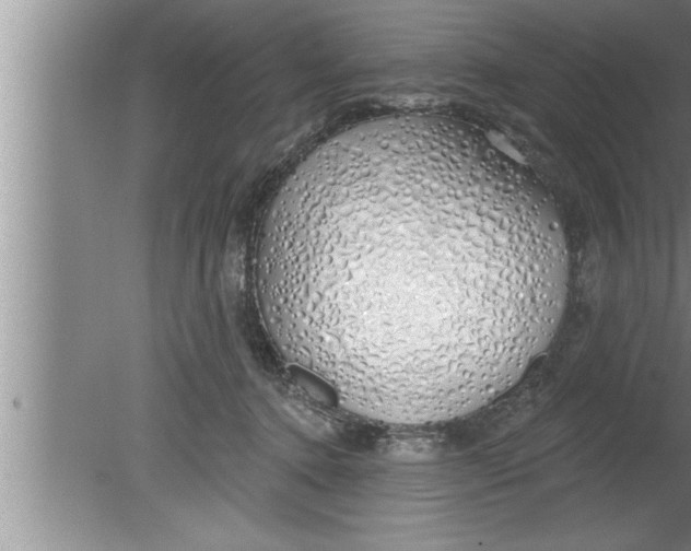 X0000080130368200612302042