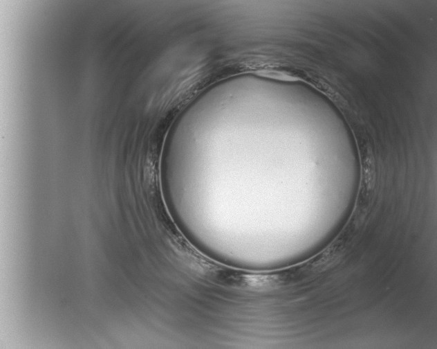 X0000080130371200612302042