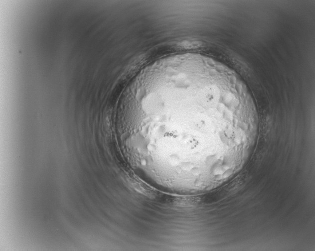 X0000080130373200612302042