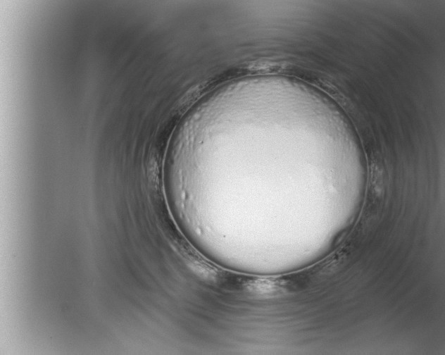 X0000080130375200612302042