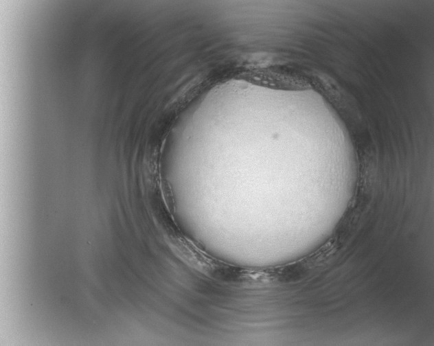 X0000080130376200612302042