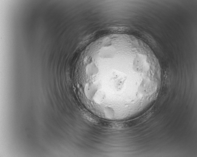 X0000080130377200612302042