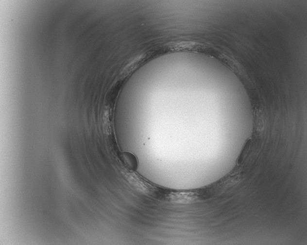 X0000080130378200612302042