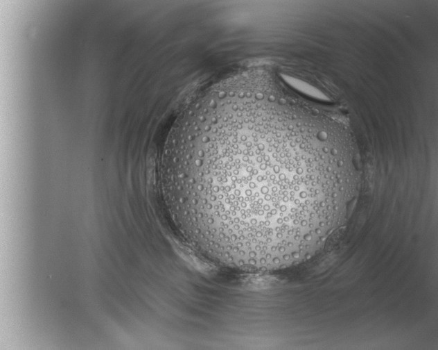 X0000080130379200612302042