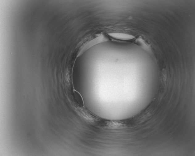 X0000080130380200612302042