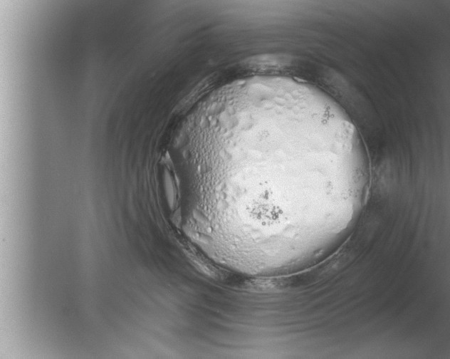 X0000080130381200612302042