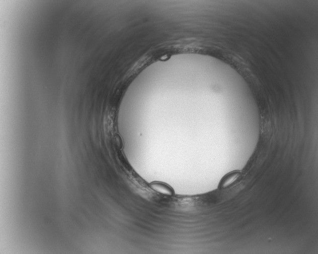 X0000080130382200612302042