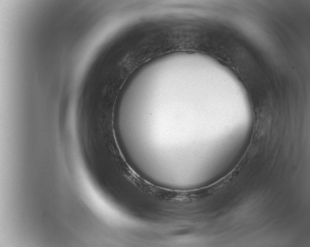 X0000080130383200612302042